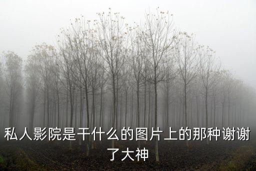 私人影院是干什么的圖片上的那種謝謝了大神