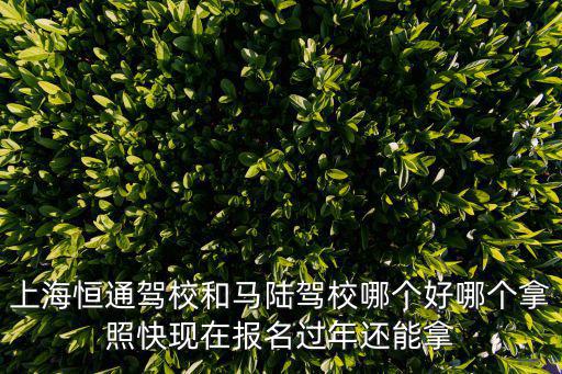 上海恒通駕校和馬陸駕校哪個好哪個拿照快現在報名過年還能拿