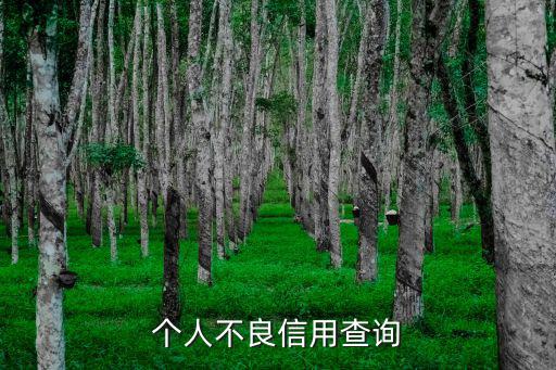 個(gè)人不良信用查詢