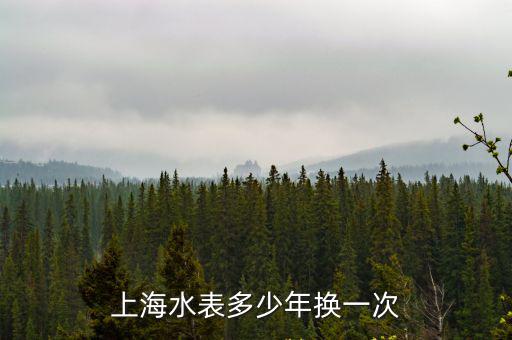 上海水表多少年換一次