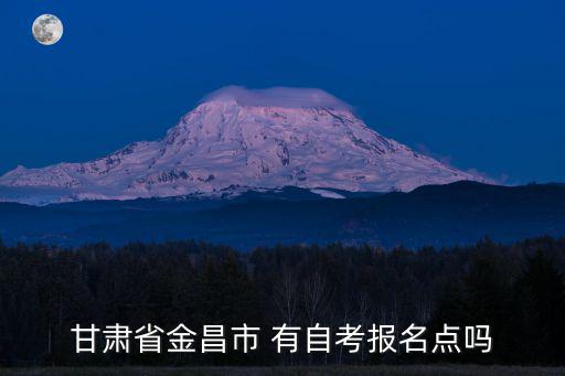 甘肅省金昌市 有自考報名點嗎