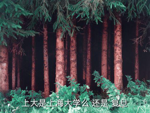 上大是上海大學么 還是 復旦