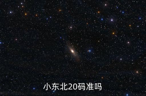 小東北20碼準嗎