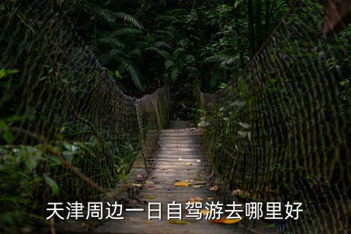 天津周邊一日自駕游去哪里好