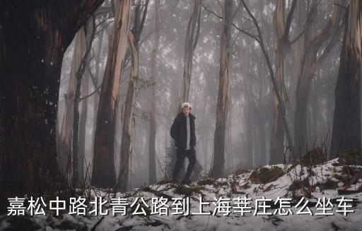 嘉松中路，上海市松江區(qū)嘉松中路有地鐵站嗎附近有地鐵站幾號(hào)線