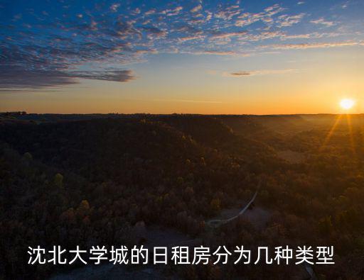 沈北大學(xué)城的日租房分為幾種類型