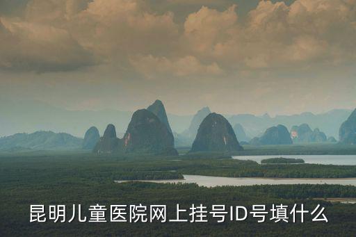 昆明兒童醫院網上掛號ID號填什么