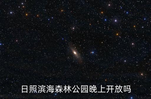 濱海森林公園，南匯濱海森林公園在那里