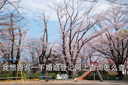 我想咨詢一下婚姻登記網上查詢怎么查啊