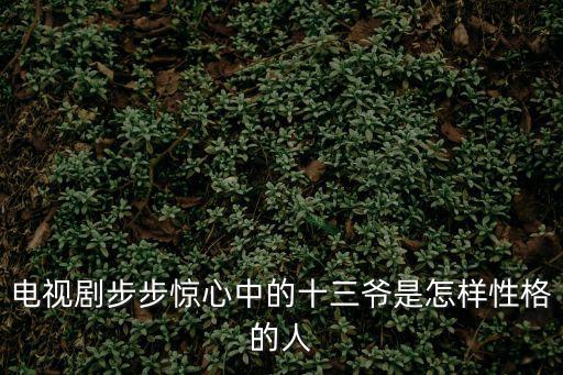 步步驚心十三爺，電視劇步步驚心中十三爺是個怎樣的人