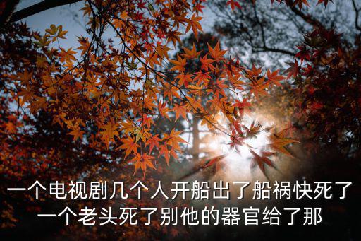 一個電視劇幾個人開船出了船禍快死了一個老頭死了別他的器官給了那