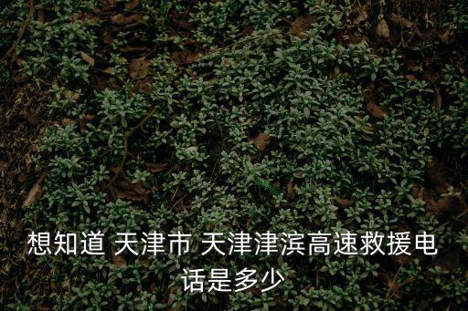 想知道 天津市 天津津濱高速救援電話是多少