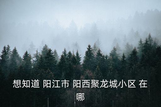 想知道 陽江市 陽西聚龍城小區 在哪