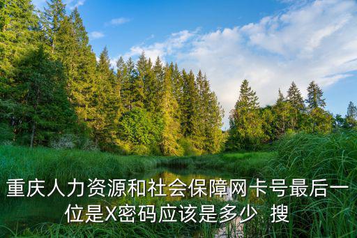 重慶人力資源和社會保障網卡號最后一位是X密碼應該是多少  搜