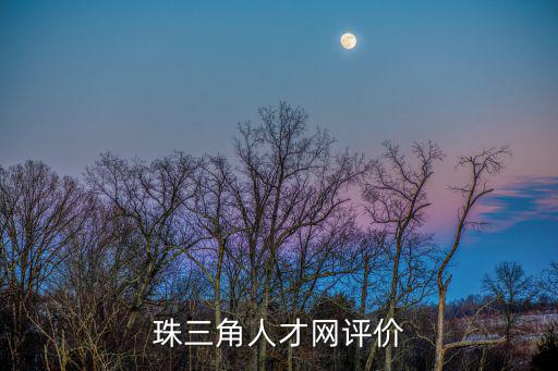 珠三角人才網(wǎng)評價