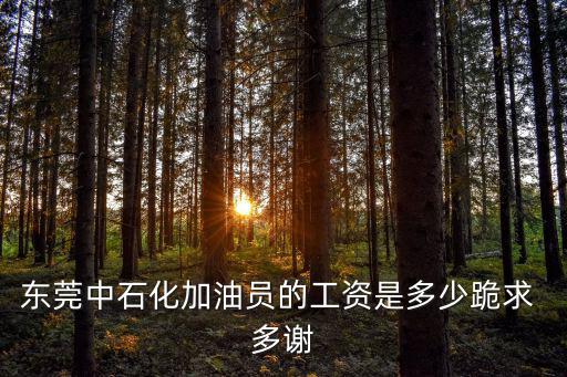 東莞中石化加油員的工資是多少跪求 多謝