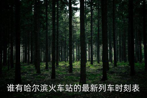 誰有哈爾濱火車站的最新列車時刻表