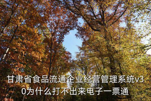 甘肅省食品流通企業(yè)經(jīng)營管理系統(tǒng)v30為什么打不出來電子一票通