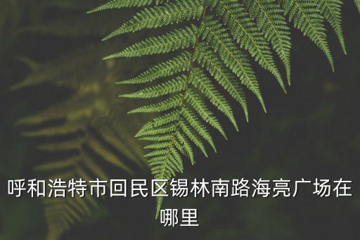 呼和浩特海亮廣場，呼和浩特市回民區錫林南路海亮廣場在哪里