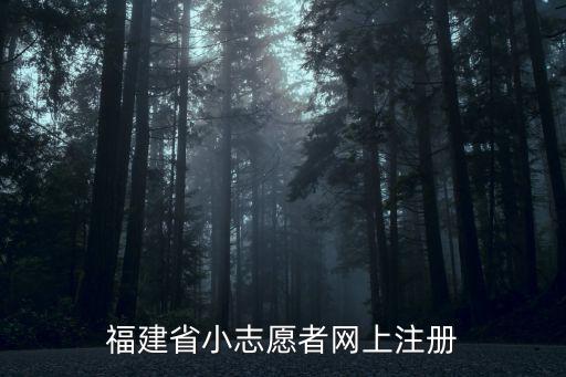 福建省小志愿者網上注冊