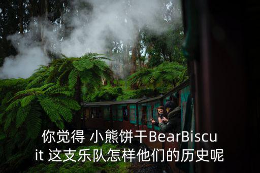 你覺得 小熊餅干BearBiscuit 這支樂隊怎樣他們的歷史呢