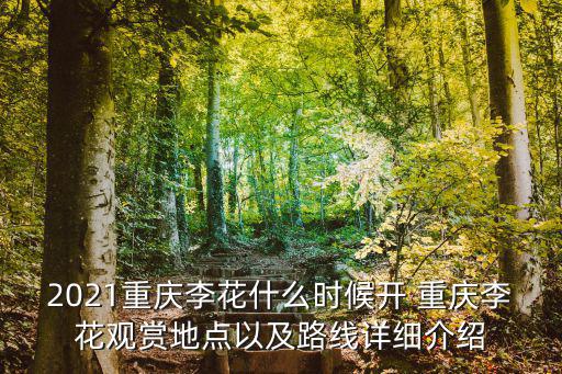 2021重慶李花什么時候開 重慶李花觀賞地點以及路線詳細介紹