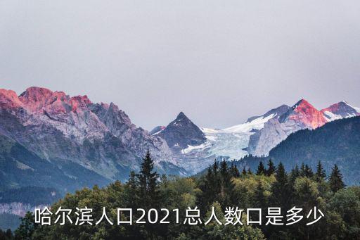 哈爾濱多少人口，哈爾濱現(xiàn)在有多少萬(wàn)人口