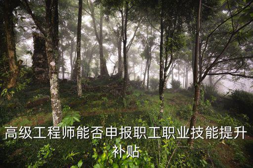 高級(jí)工程師能否申報(bào)職工職業(yè)技能提升補(bǔ)貼