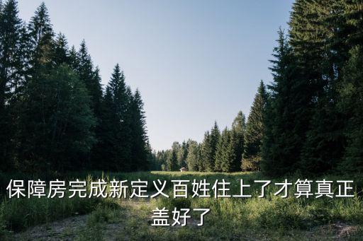保障房完成新定義百姓住上了才算真正蓋好了