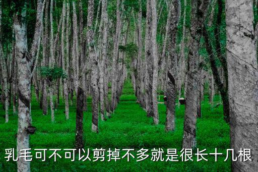 乳毛可不可以剪掉不多就是很長十幾根
