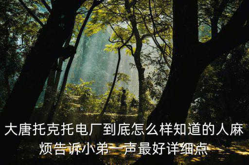 托克托電廠，大唐托克托電廠到底怎么樣知道的人麻煩告訴小弟一聲最好詳細點