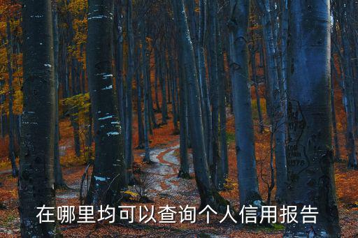 個人信用查詢平臺，征信中心個人信用查詢