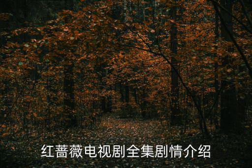 紅薔薇電視劇，如何評價陳曉楊子姍主演的電視劇紅薔薇