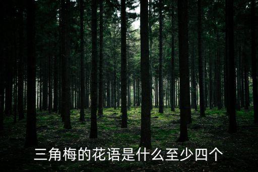 三角梅的花語，三角梅花語是什么