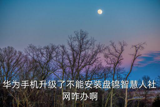 華為手機(jī)升級(jí)了不能安裝盤錦智慧人社網(wǎng)咋辦啊