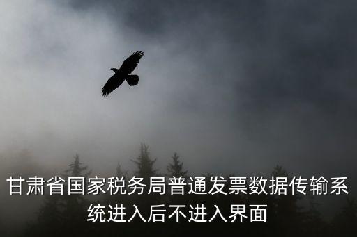 甘肅省國(guó)家稅務(wù)局普通發(fā)票數(shù)據(jù)傳輸系統(tǒng)進(jìn)入后不進(jìn)入界面