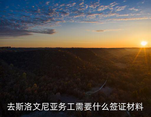 去斯洛文尼亞務工需要什么簽證材料