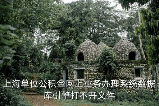 上海單位公積金網上業務辦理系統數據庫引擎打不開文件
