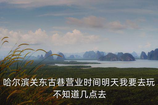 關(guān)東古巷，哈爾濱現(xiàn)在關(guān)東古巷怎么樣人多熱鬧嗎