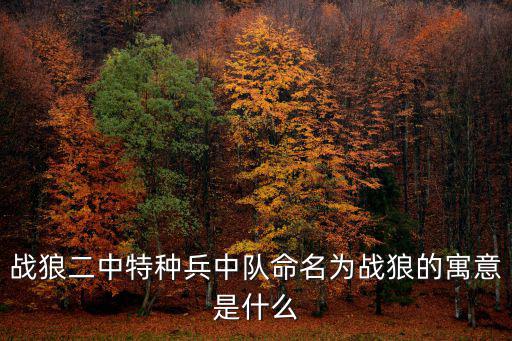 戰狼二中特種兵中隊命名為戰狼的寓意是什么