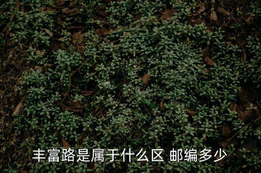 豐富路是屬于什么區 郵編多少