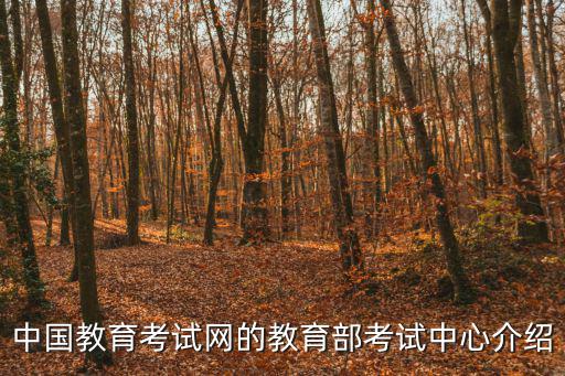 nect中國教育考試網，在網上怎么查分數啊