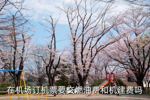 機(jī)票燃油費(fèi)，在機(jī)場訂機(jī)票要交燃油費(fèi)和機(jī)建費(fèi)嗎