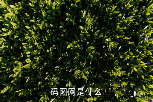 碼圖網是什么