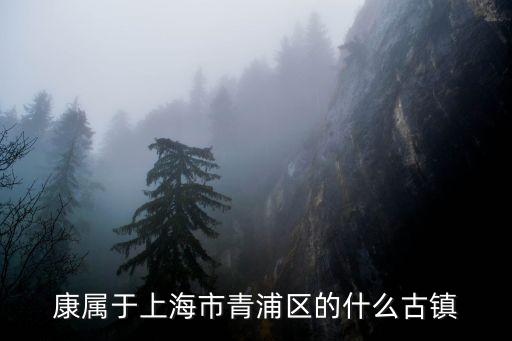 康屬于上海市青浦區(qū)的什么古鎮(zhèn)