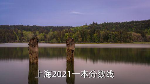 上海2021一本分數線