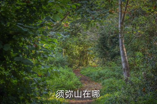 須彌山在哪