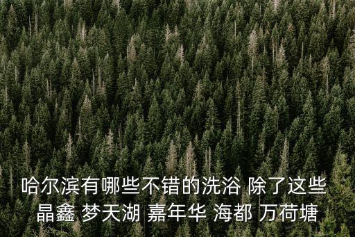 哈爾濱洗浴，哈爾濱好的洗浴中心推薦幾個