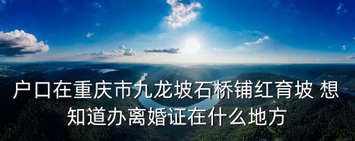 戶口在重慶市九龍坡石橋鋪紅育坡 想知道辦離婚證在什么地方