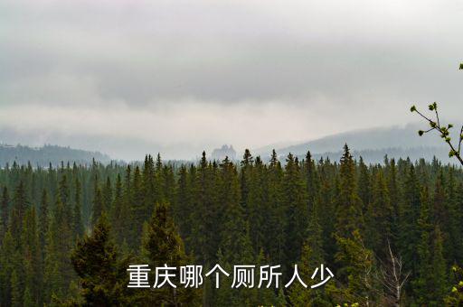 重慶哪個廁所人少